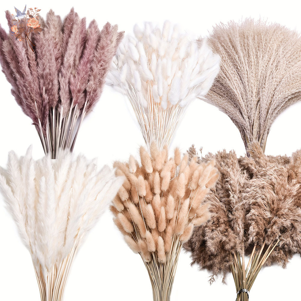 320PCS Mixed Fluffy Large Pamp - Pampas Grass Decor recension och pris