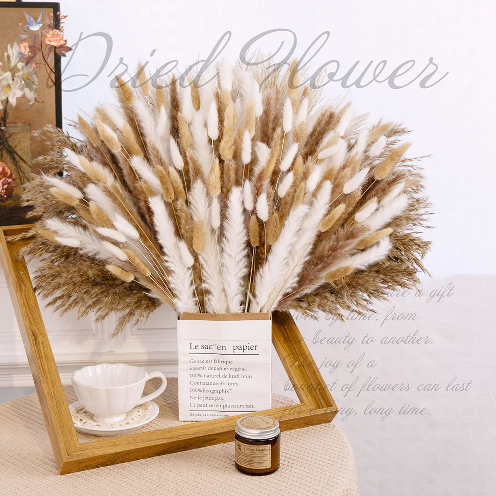 320PCS Mixed Fluffy Large Pamp - Pampas Grass Decor recension och pris
